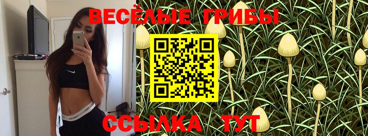 Галлюциногенные грибы мицелий  дарнет шоп  Советская Гавань  Вход с VPN 